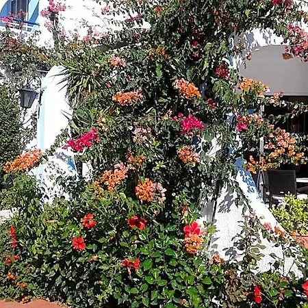 Nirvana Hotel 3*